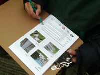 Year 4 pupil from Summerbank Primary School selecting Fair for the condition of the stonework of Tunstall war memorial © War Memorials Trust, 2019